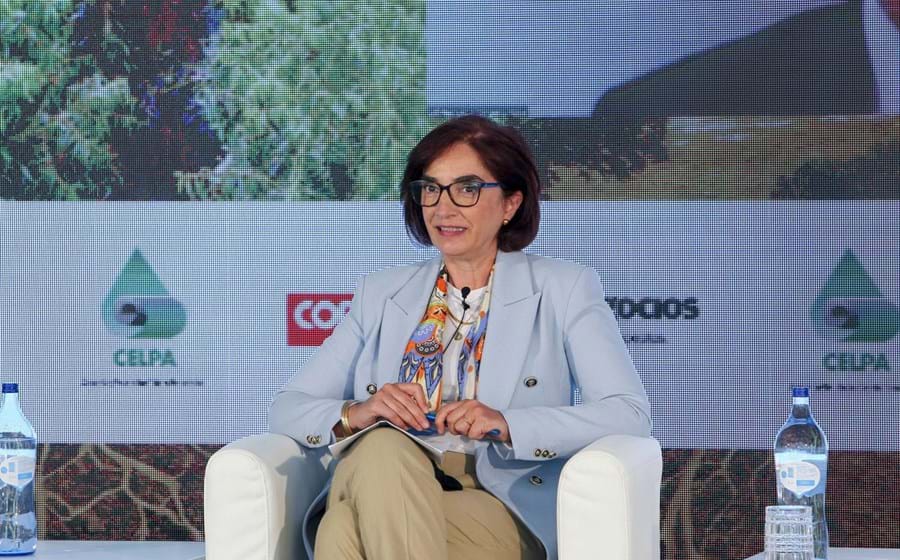 Professora Elvira Fortunato - "O Green Deal nas Florestas e Empresas" 