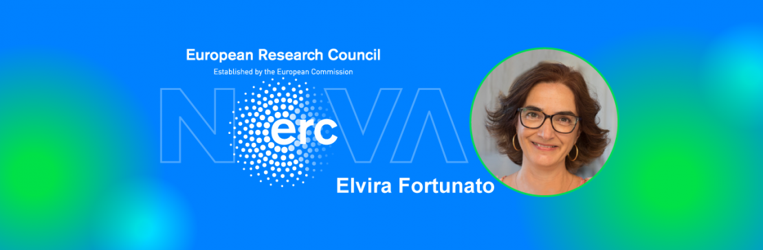  Elvira Fortunato recebe bolsa do Conselho Europeu de Investigação