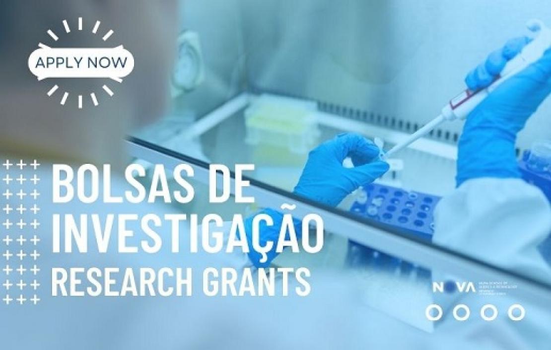 Atribuição de Uma Bolsa de Investigação para Mestre | Projeto PRR C644930471-00000041 M-ECO2 (Industrial cluster for advanced green fuel production)