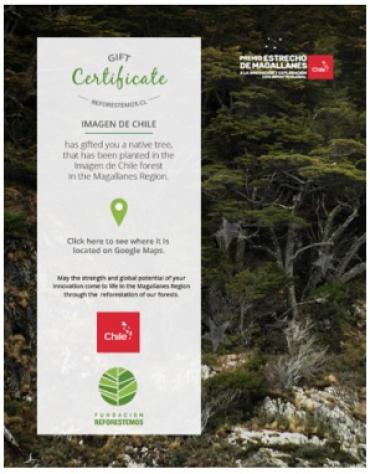 Foi plantado pela a Embaixada do Chile uma árvore em nome de Elvira Fortunato @marcachile