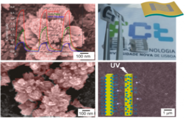 Nanomaterials Engineering and Functional Interfaces 