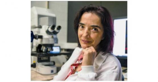 Mulheres já são 60% dos cientistas no Estado
