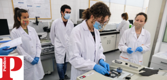"De máscara e sem medo, os alunos estão de regresso aos laboratórios"