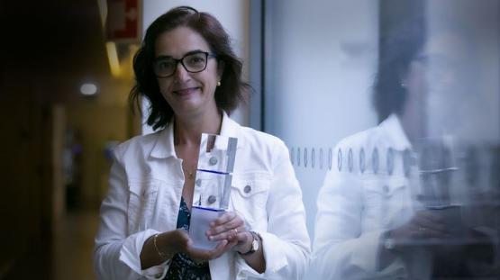 Elvira Fortunato vence prémio europeu "Horizon Impact Award 2020" e é reconhecida na Impresa Nacional e Internacional