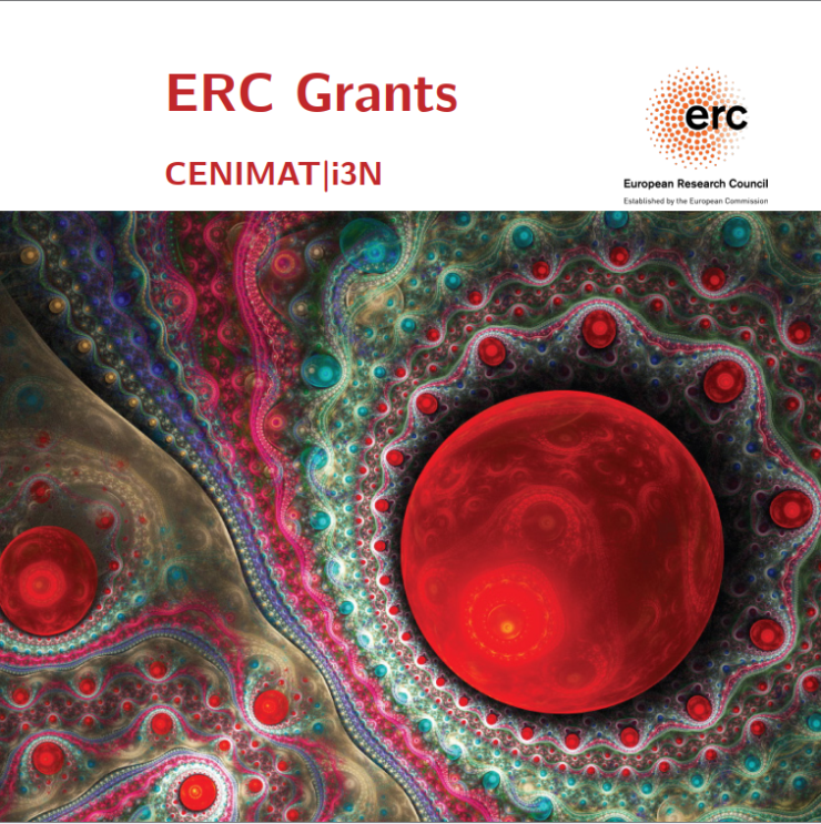 i3N ERC Brochure