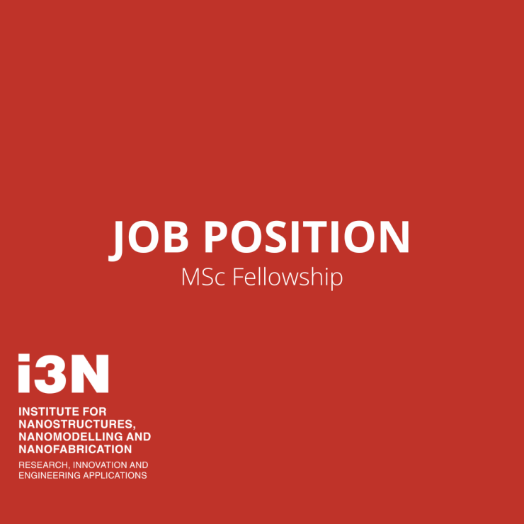 i3N MSc Fellowships