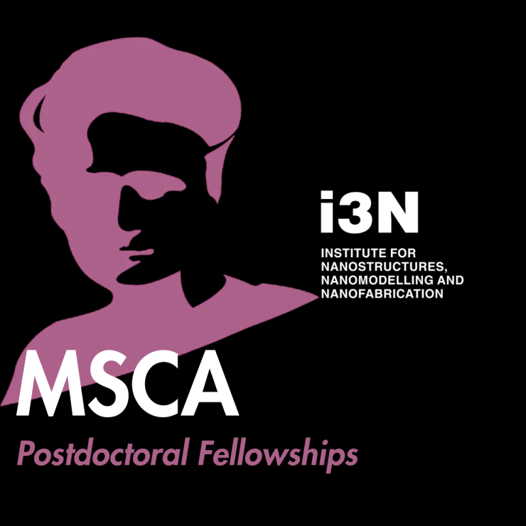 MSCA PF 2026 i3N