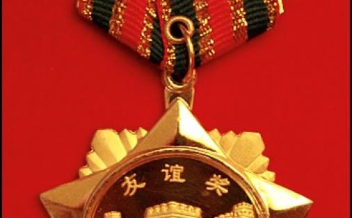 The medal of the Friendship Award